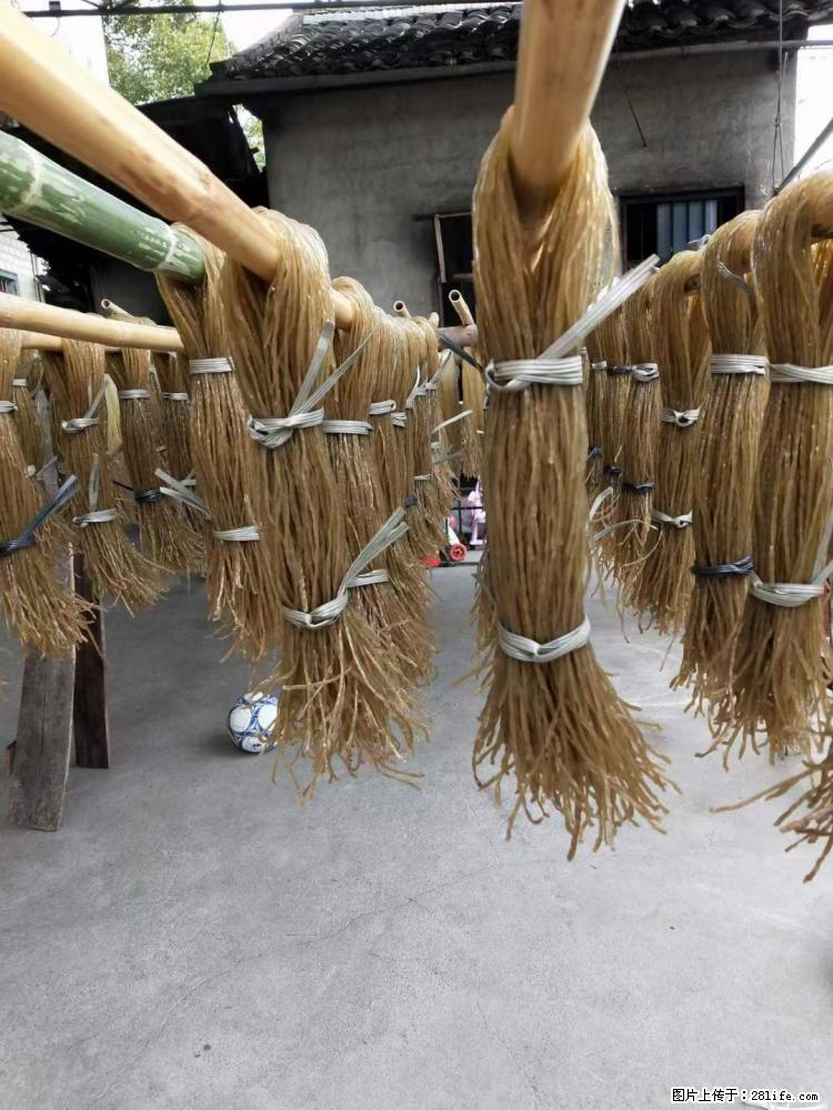 【灌阳正宗红薯粉】美女家里自己做的,干净卫生,假一赔十,价格合理,抢购电话:13737312895 - 美食天地 - 南通生活社区 - 南通28生活网 nt.28life.net