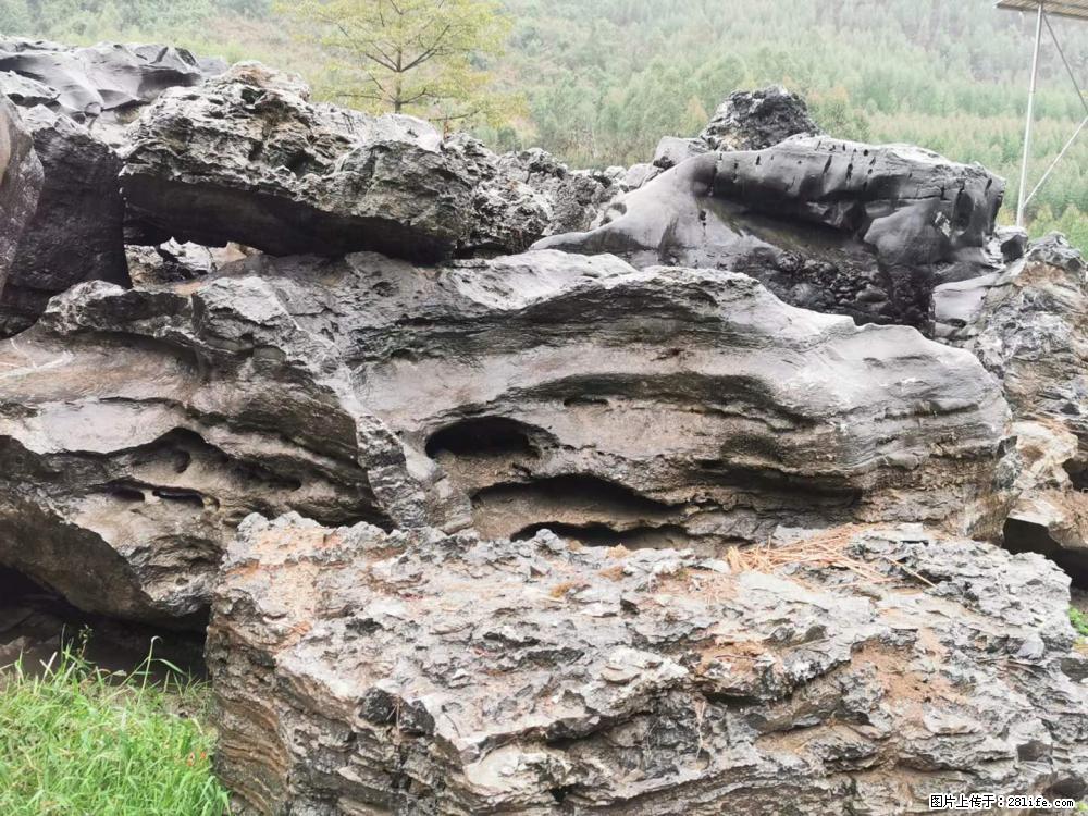 风景石、假山石大量有货，有需要的欢迎联系 - 新手上路 - 南通生活社区 - 南通28生活网 nt.28life.net