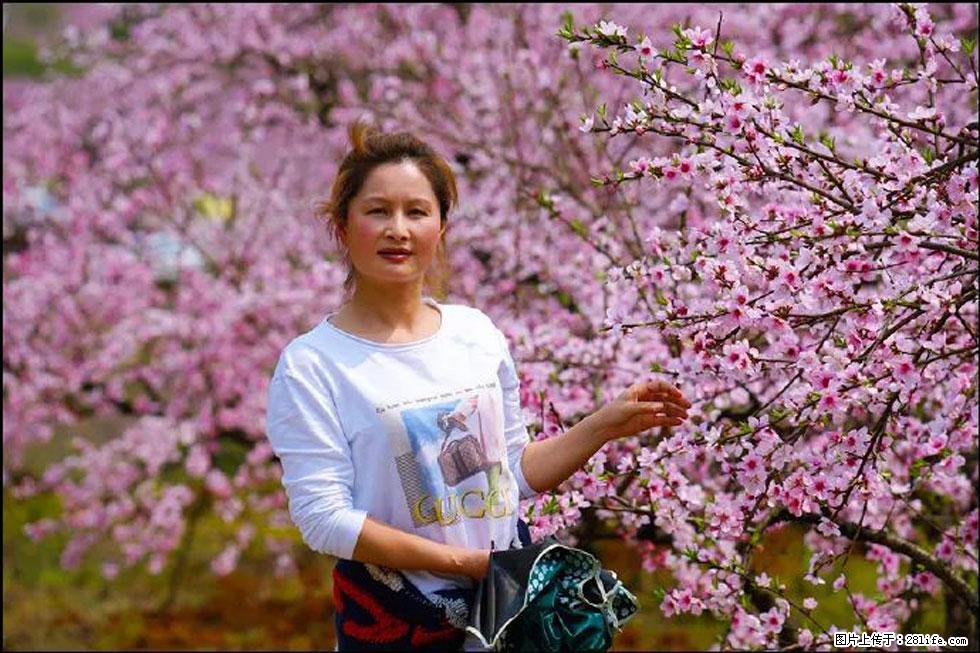 【春天，广西桂林灌阳县向您发出邀请！】官庄村有个醉美的桃花园 - 游山玩水 - 南通生活社区 - 南通28生活网 nt.28life.net
