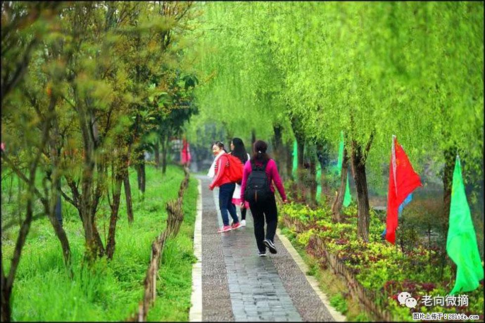 【春天，广西桂林灌阳县向您发出邀请！】江口老街又逢春 - 游山玩水 - 南通生活社区 - 南通28生活网 nt.28life.net