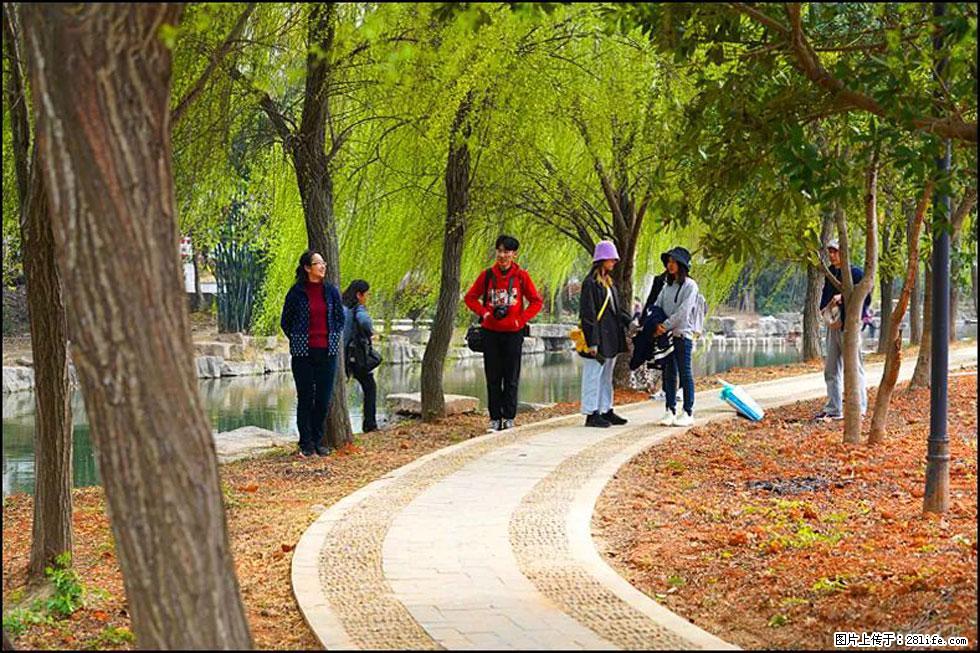 【春天，广西桂林灌阳县向您发出邀请！】江口老街又逢春 - 游山玩水 - 南通生活社区 - 南通28生活网 nt.28life.net