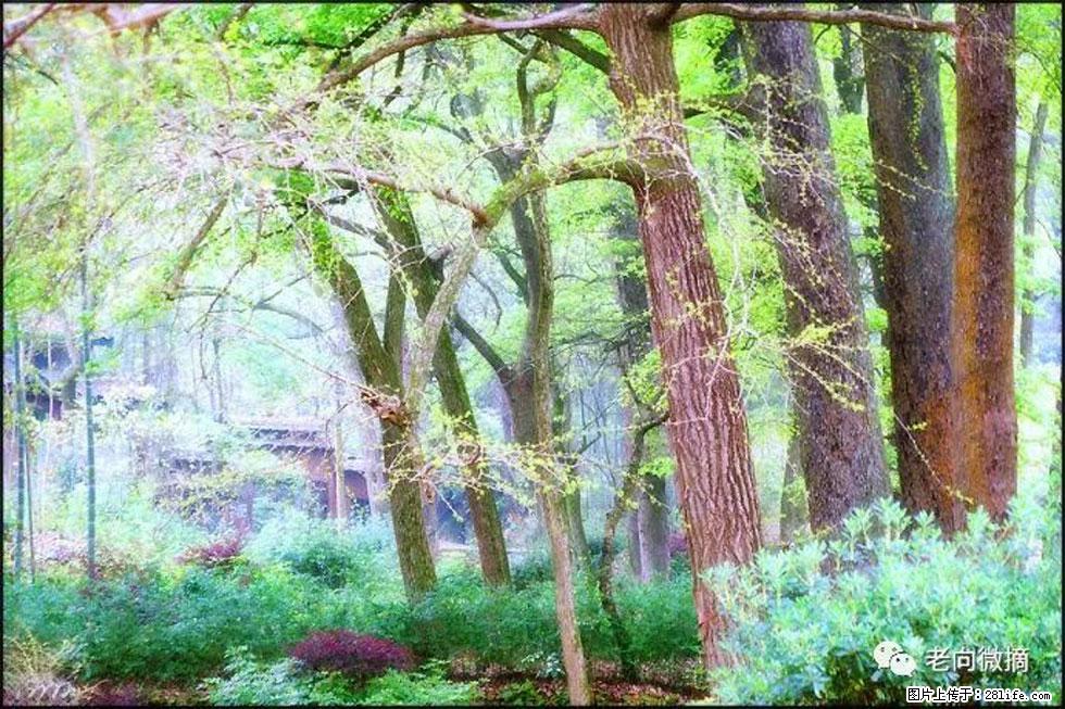 【春天，广西桂林灌阳县向您发出邀请！】在小龙村与春天约会 - 游山玩水 - 南通生活社区 - 南通28生活网 nt.28life.net