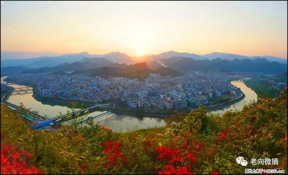 【春天，广西桂林灌阳县向您发出邀请！】登麒麟山，相约映山红 - 游山玩水 - 南通生活社区 - 南通28生活网 nt.28life.net