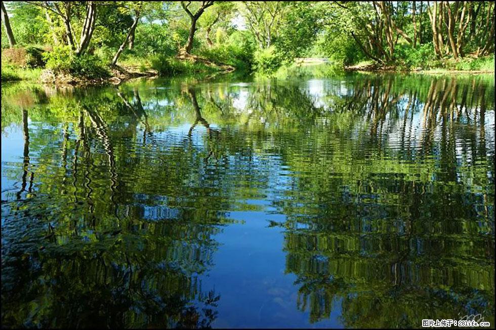 【春天，广西桂林灌阳县向您发出邀请！】熊家寨湿地公园 - 游山玩水 - 南通生活社区 - 南通28生活网 nt.28life.net