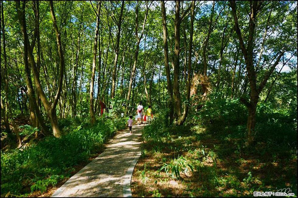 【春天，广西桂林灌阳县向您发出邀请！】熊家寨湿地公园 - 游山玩水 - 南通生活社区 - 南通28生活网 nt.28life.net