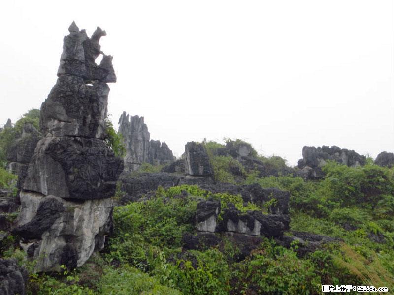 桂林旅游名城景点：灌阳文市石林 - 游山玩水 - 南通生活社区 - 南通28生活网 nt.28life.net