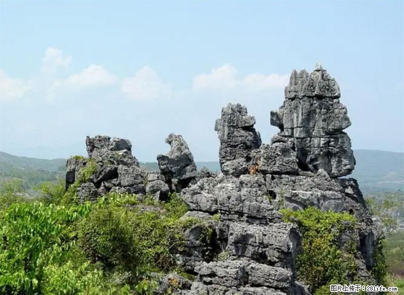 桂林旅游名城景点：灌阳文市石林 - 游山玩水 - 南通生活社区 - 南通28生活网 nt.28life.net
