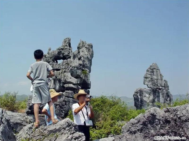 桂林旅游名城景点：灌阳文市石林 - 游山玩水 - 南通生活社区 - 南通28生活网 nt.28life.net