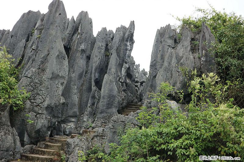 桂林旅游名城景点：灌阳文市石林 - 游山玩水 - 南通生活社区 - 南通28生活网 nt.28life.net