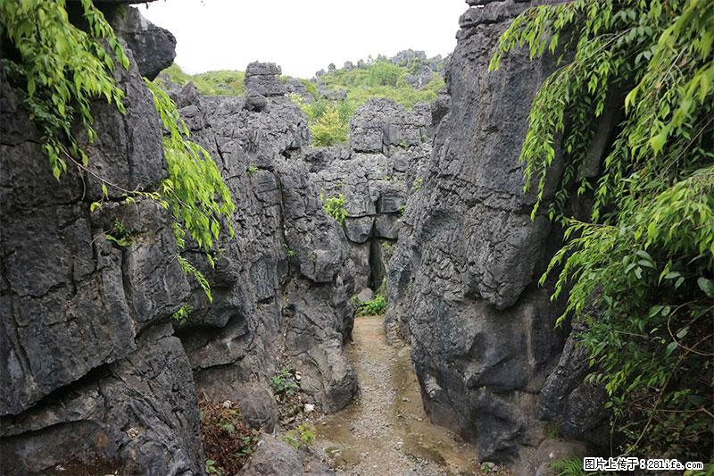 桂林旅游名城景点：灌阳文市石林 - 游山玩水 - 南通生活社区 - 南通28生活网 nt.28life.net