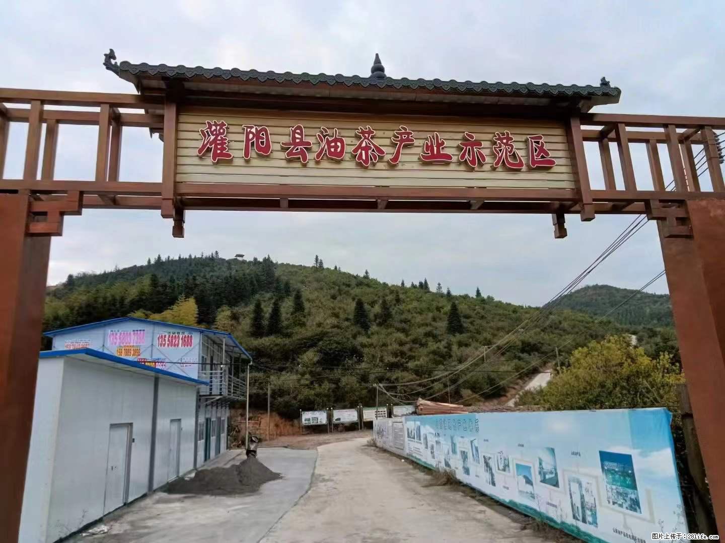 【灌阳县油茶产业示范区】一个有着充实的精神生活的人，对待身外之物自会有一种淡泊的态度 - 美食天地 - 南通生活社区 - 南通28生活网 nt.28life.net