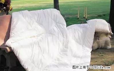 被子有异味?只要这样做,比晒太阳还强100倍! - 家居生活 - 南通生活社区 - 南通28生活网 nt.28life.net