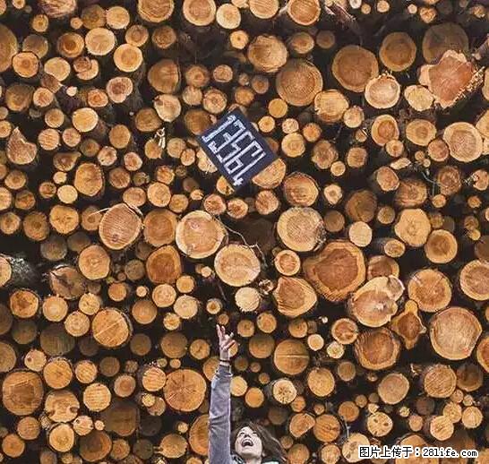 辞掉工作周游世界?现在他们在洗厕所…… - 游山玩水 - 南通生活社区 - 南通28生活网 nt.28life.net