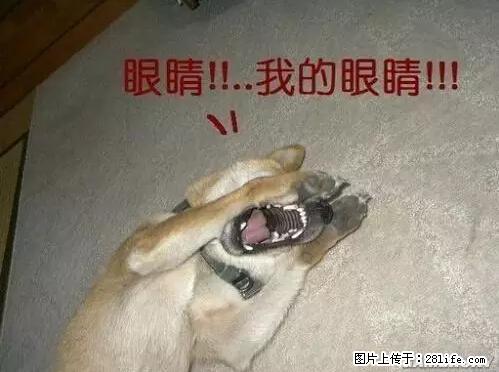 笑癫了！一女的怀孕三年未生，他终于忍不住了... - 娱乐八卦 - 南通生活社区 - 南通28生活网 nt.28life.net
