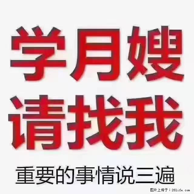 【招聘】月嫂，上海徐汇区 - 职场交流 - 南通生活社区 - 南通28生活网 nt.28life.net