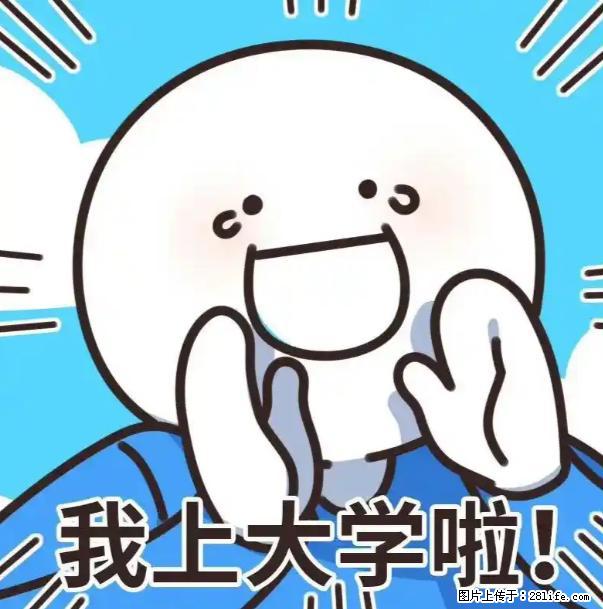 家长必看！五年制专转本选校指南：公办民办精准匹配 - 新手上路 - 南通生活社区 - 南通28生活网 nt.28life.net