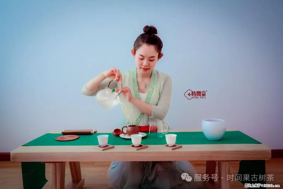 时间果百年古树龙珠普洱生茶 - 购物交流 - 南通生活社区 - 南通28生活网 nt.28life.net