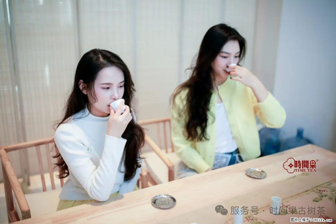 时间果百年古树龙珠普洱生茶 - 购物交流 - 南通生活社区 - 南通28生活网 nt.28life.net