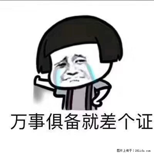 南通瀚宣博大五年制专转本培训——基础到冲刺全程护航实现本科梦 - 综合信息 - 其他综合 - 南通分类信息 - 南通28生活网 nt.28life.net
