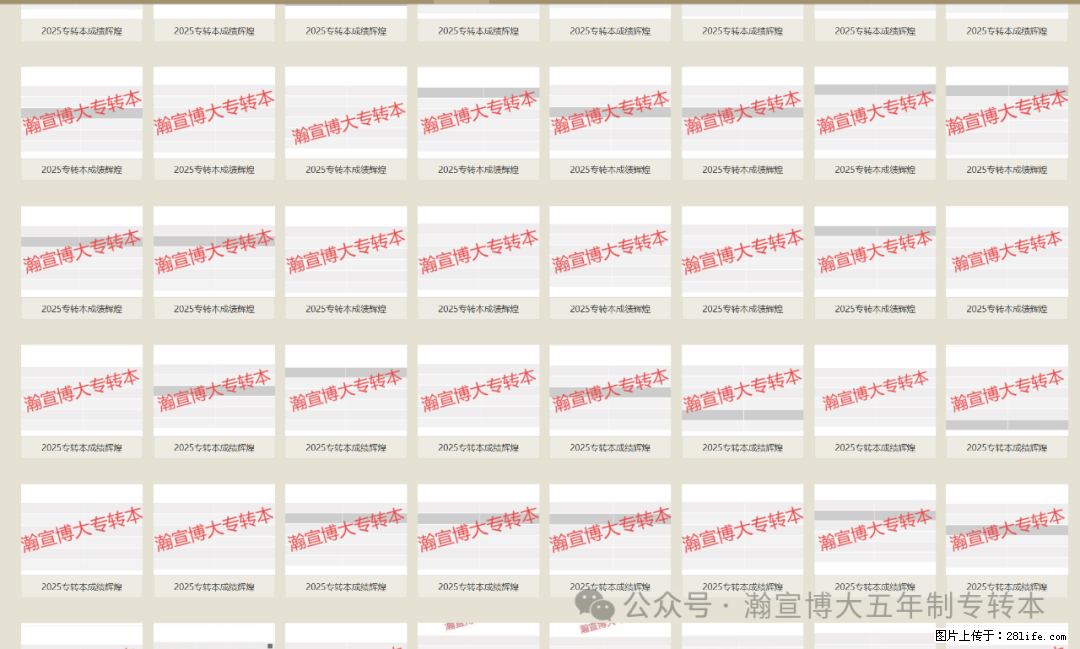 2025年江苏瀚宣博大五年制专转本：高分捷报！ - 综合信息 - 其他综合 - 南通分类信息 - 南通28生活网 nt.28life.net