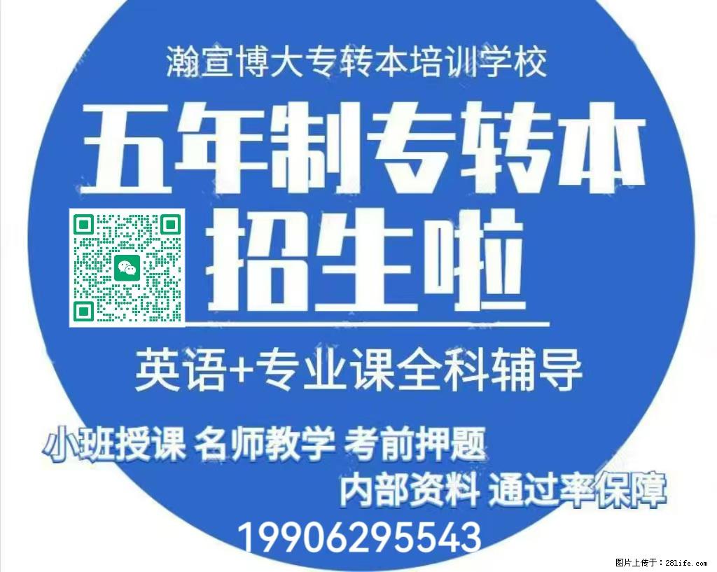 江苏五年制专转本高分笔记:英语语法+专业课考点浓缩版 - 网站推广 - 广告专区 - 南通分类信息 - 南通28生活网 nt.28life.net