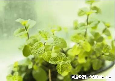 晕车、脚气、牙齿变黄、皮肤粗糙？学会这些三分钟搞定！ - 南通生活资讯 - 南通28生活网 nt.28life.net