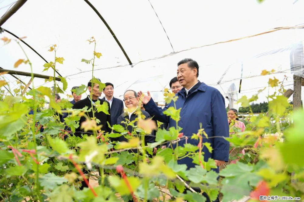习近平赴广西考察调研 - 南通生活资讯 - 南通28生活网 nt.28life.net