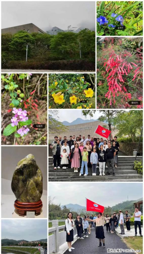 “粤灌文化 美好生活”油茶文化主题活动在广东深圳成功举办 - 南通生活资讯 - 南通28生活网 nt.28life.net