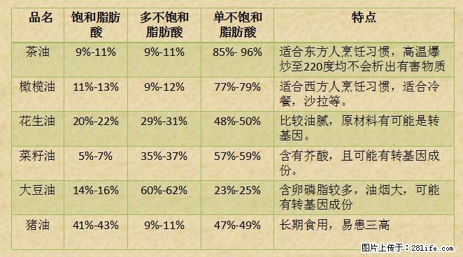 揭秘茶油的5大核心营养成分！被称为人体健康的“守护盾”！ - 南通生活资讯 - 南通28生活网 nt.28life.net