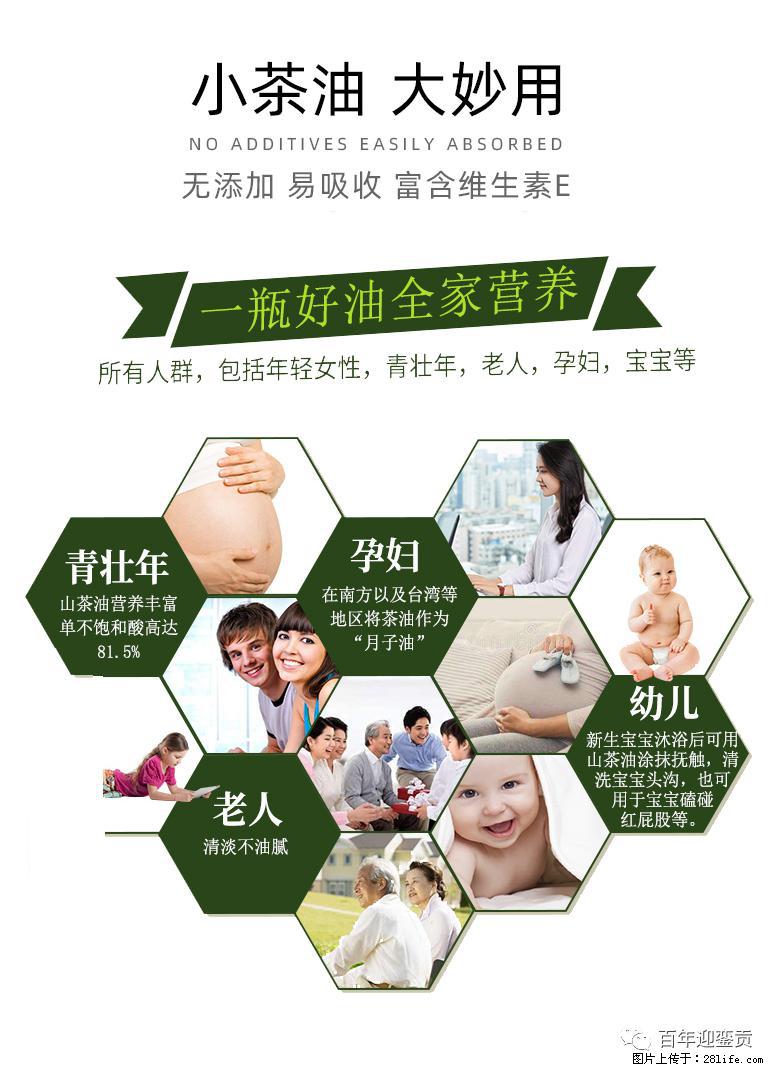 世界没有真相，只有认知，最好的食用油是中国的山茶油！ - 南通生活资讯 - 南通28生活网 nt.28life.net