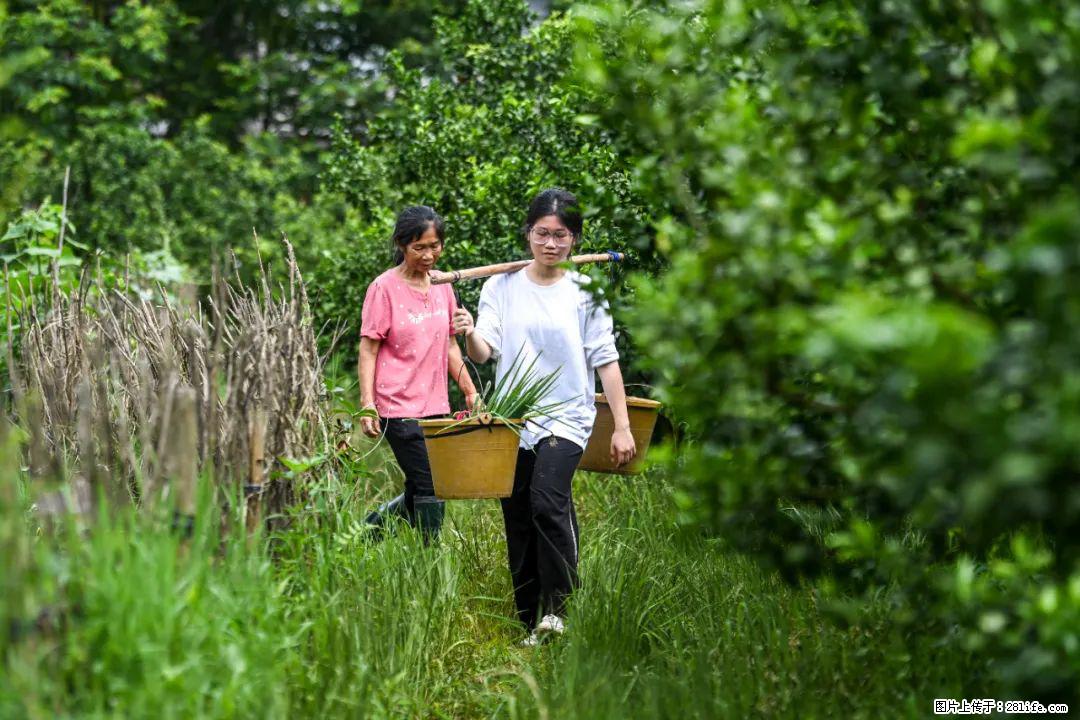 全网追的“扁担女孩”，找了一份暑假工，时薪12元 - 南通生活资讯 - 南通28生活网 nt.28life.net