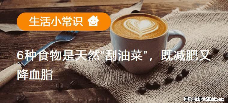 【生活小常识】6种食物是天然“刮油菜”，既减肥又降血脂 - 南通生活资讯 - 南通28生活网 nt.28life.net