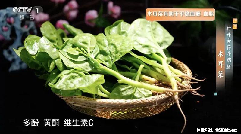 比牛奶补钙还厉害！凉血解毒、稳血糖...这菜冬天必吃，很多人却当草 - 南通生活资讯 - 南通28生活网 nt.28life.net
