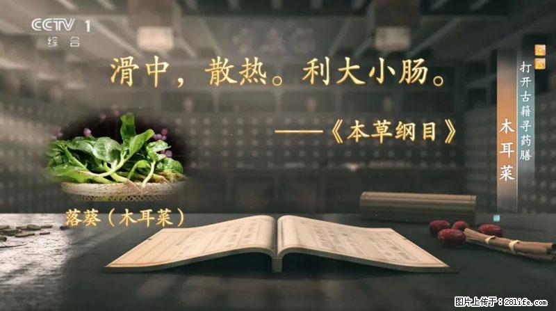 比牛奶补钙还厉害！凉血解毒、稳血糖...这菜冬天必吃，很多人却当草 - 南通生活资讯 - 南通28生活网 nt.28life.net