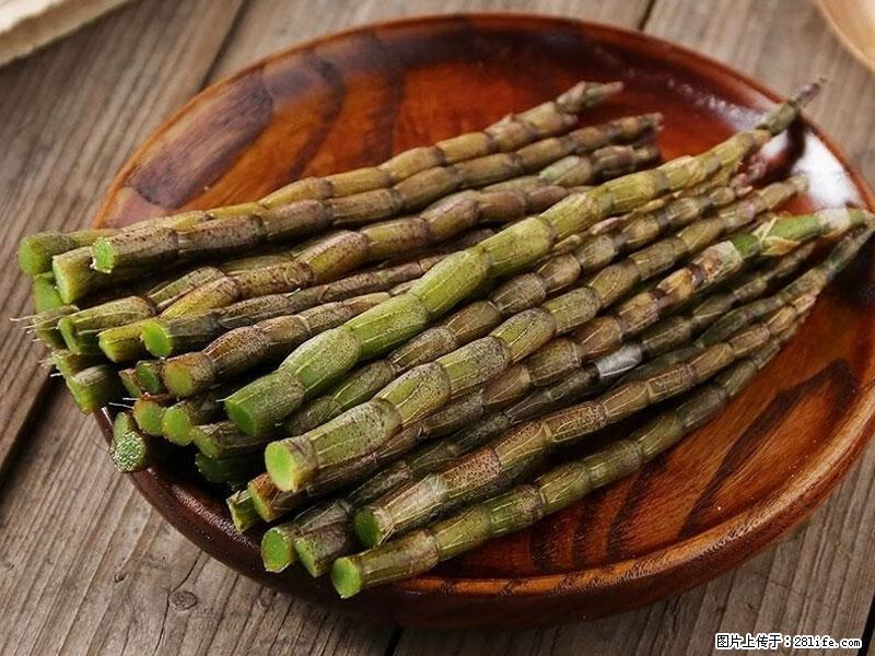 铁皮石斛的作用与功能主治 - 南通生活资讯 - 南通28生活网 nt.28life.net