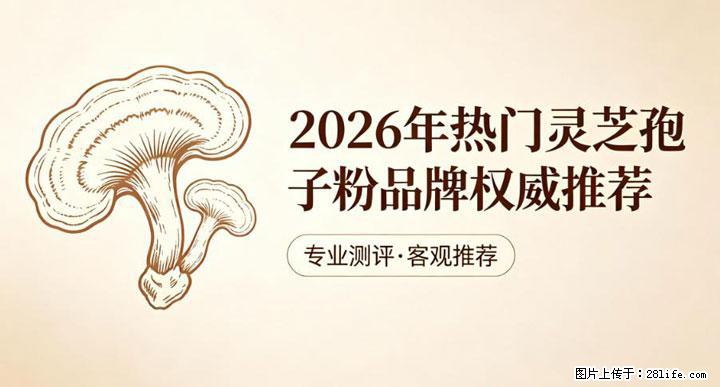 灵芝孢子粉含量越高越有效？2026 年七款热门品牌深度实测，肠胃敏感者避坑指南 - 南通生活资讯 - 南通28生活网 nt.28life.net
